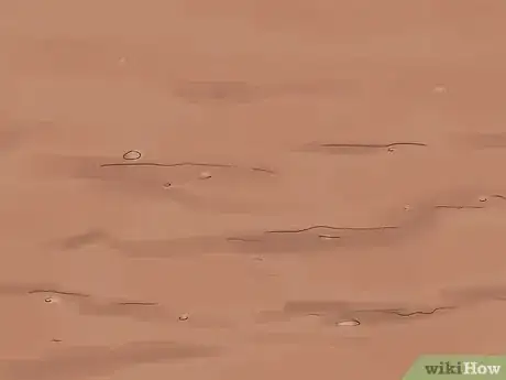 Image titled Grow Swamp Hibiscus Step 2