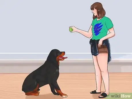 Image titled Teach Your Dog to Bolt from a Standing Start Step 4