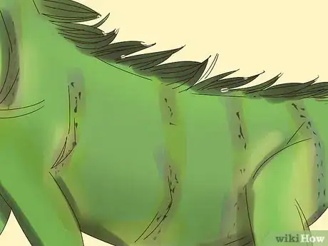 Image titled Buy an Iguana Step 7