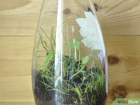Image titled Make a Mini Biodome Step 10
