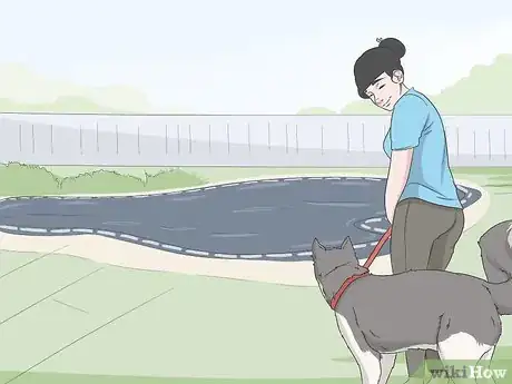 Image titled Keep Dogs Off of a Pool Cover Step 1