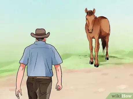 Image titled Be Comfortable Around a Bad‐Tempered Horse Step 12