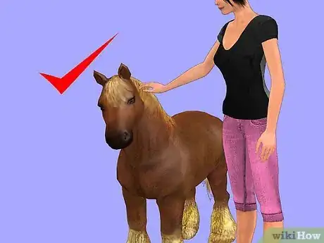 Image titled Show a Miniature Horse Step 2