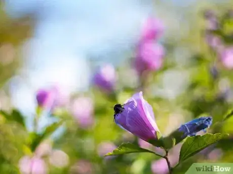 Image titled Praise and Worship God Step 5