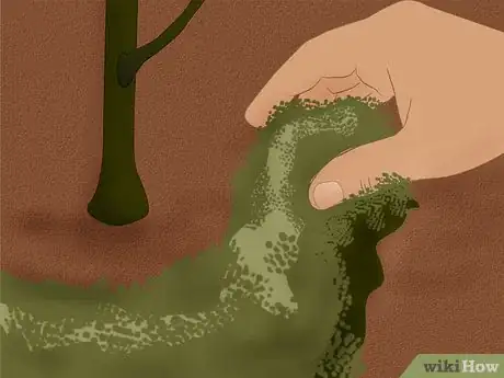 Image titled Plant a Flowering Almond Shrub Step 10