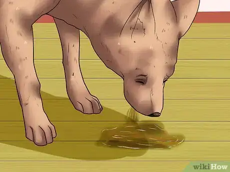 Image titled Diagnose Canine Allergies Step 1