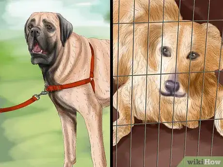 Image titled Housebreak a Dog Using a Crate Step 11