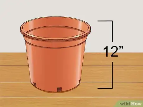 Image titled Grow a Ginger Plant Step 5