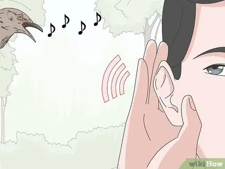 Image titled Identify Bird Calls Step 5