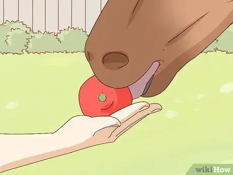 Image titled Prepare Fruit and Vegetables for Horses Step 9