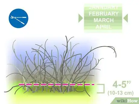 Image titled Prune Forsythia Step 09