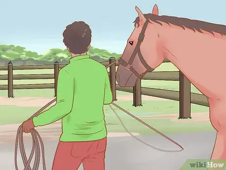 Image titled Handle and Control a Stallion Step 8