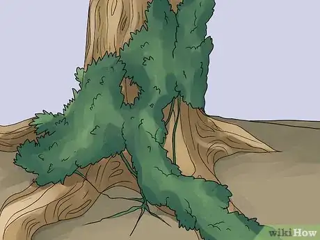 Image titled Remove an Ivy Plant Step 8