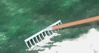 Keep Your Grass Green in the Winter