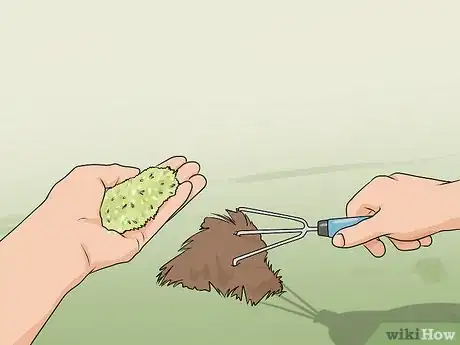Image titled Prepare Your Yard for Summer Step 4