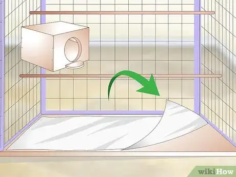 Image titled Clean and Maintain Lory and Lorikeet Habitats Step 8