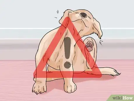 Image titled Dye Your Pet Step 14