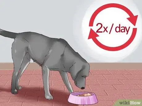 Image titled Supervise a New Dog Step 7