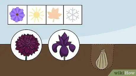 Image titled Plant Flower Bulbs Step 17