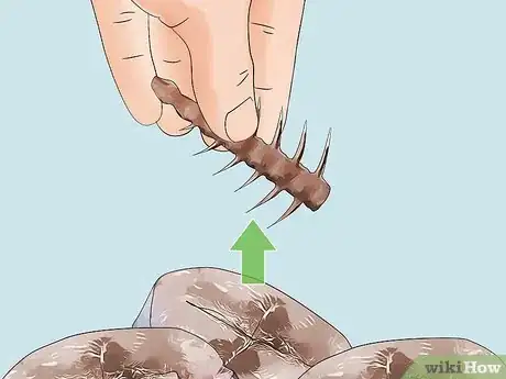 Image titled Feed Cats Table Scraps Step 13