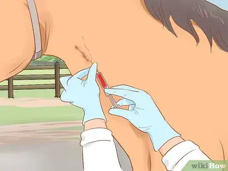 Image titled Draw a Horse's Blood Step 8