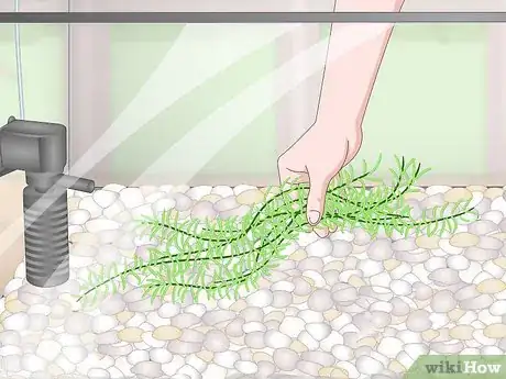 Image titled Set up a Planted Goldfish Aquarium Step 10