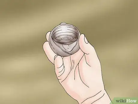 Image titled Propagate Daffodils Step 6