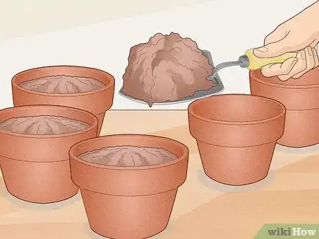 Image titled Make a Mini Garden in Your Room Step 8