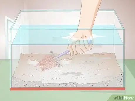 Image titled Cure Red Slime Algae in Marine Aquariums Step 3