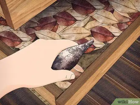 Image titled Store Dahlia Bulbs Step 8