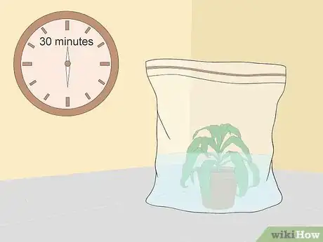 Image titled Revive a Wilted Herb Plant Step 4