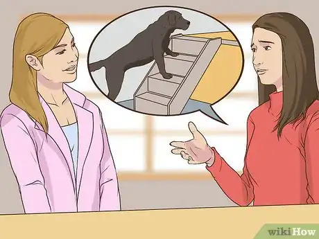 Image titled Get a Complete Geriatric Work Up for Your Dog Step 3