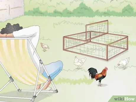 Image titled Properly Care for Your Chicks and Older Chickens Step 13