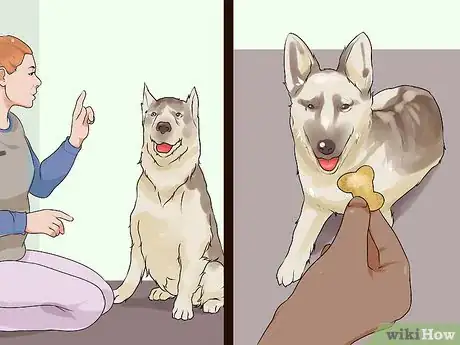 Image titled Set Consistent Limits for a New Dog Step 12