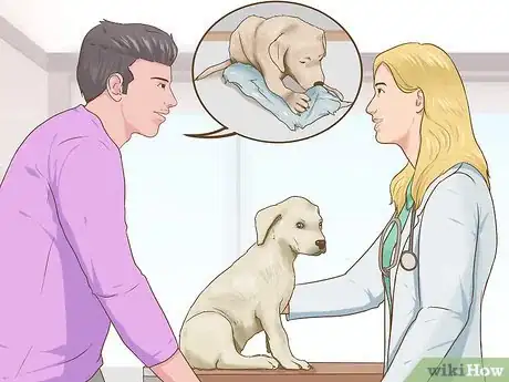 Image titled Puppy Proof Your Bedroom Step 13