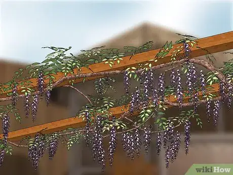 Image titled Design an Exotic Garden Step 11