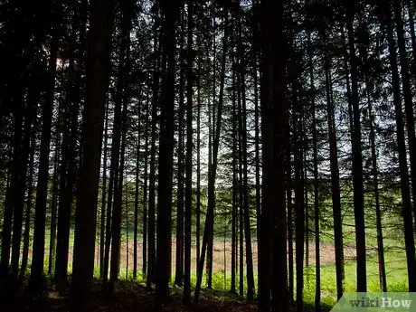 Image titled Spend Summer Vacation in the Mountains Step 6