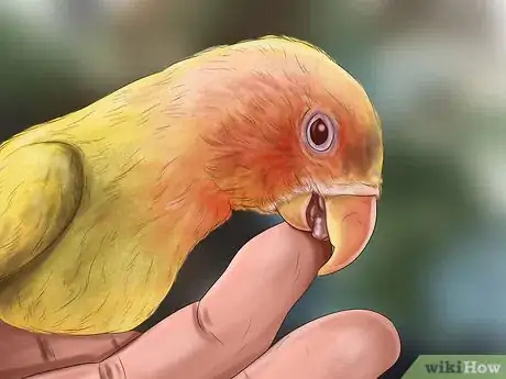 Image titled Reprimand a Pet Step 13