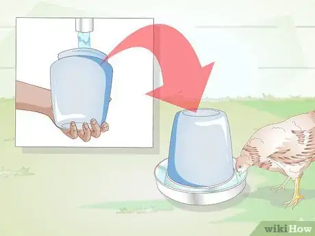 Image titled Properly Care for Your Chicks and Older Chickens Step 10