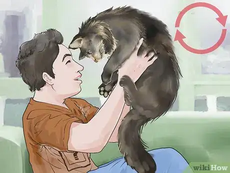 Image titled Take Care of Your Long Haired Maine Coon Step 7