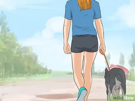 Image titled Have Fun with Your Dog Outdoors Step 3