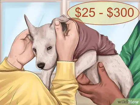 Image titled Determine Where to Get Your Dog Step 5