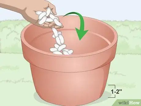 Image titled Plant Lavender in Pots Step 3