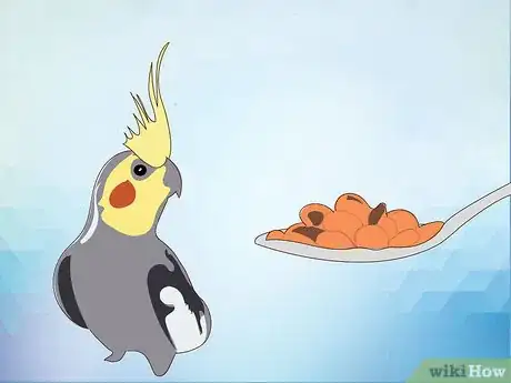 Image titled Feed Cockatiels Step 13