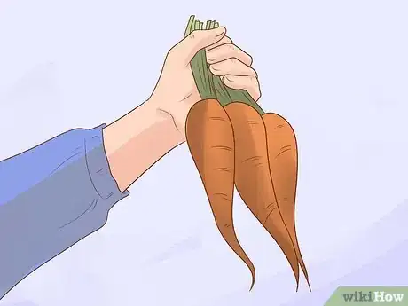 Image titled Take Proper Care of Your Horse's Teeth Step 11