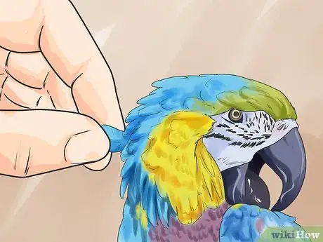 Image titled Recognize Stress in Your Pet Parrot Step 1