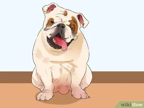 Image titled Choose a Laid‐Back Dog Step 7