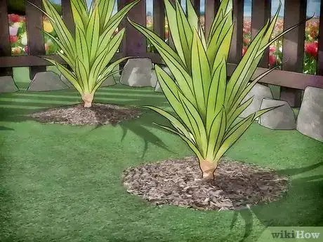 Image titled Protect Plants from the Cold Step 2