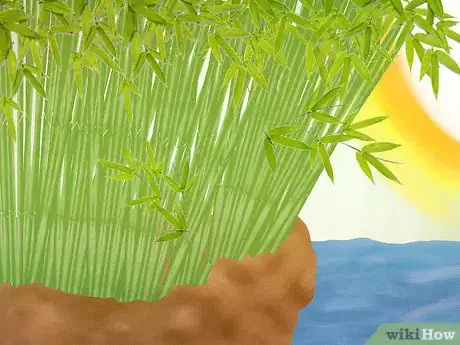 Image titled Plant a Clumping Bamboo Step 3