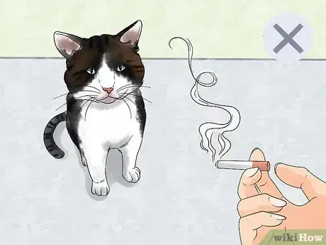 Image titled Spot and Treat Feline Asthma Step 9